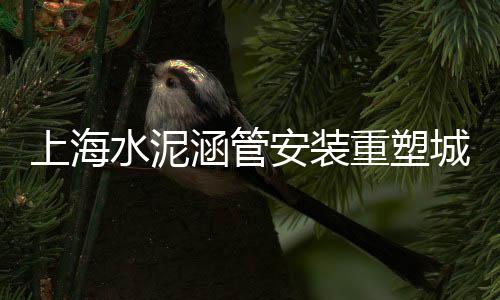 黄沙上海目前单价、上海临港出售精品黄沙房、上海松江区黄沙水泥码头、上海临港找人搬黄沙水泥