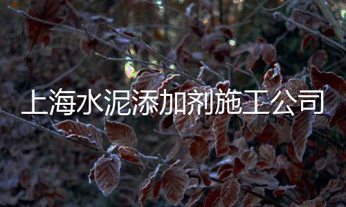 上海哪里有石子采购厂子、上海进口石子仓进货价、上海哪里有石子采购厂家、上海宝山罗店镇石子