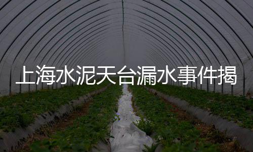 惠州白石子批发市场地址、莘县石子厂家批发市场、建筑石子市场价格砂石、重庆12青石子市场价