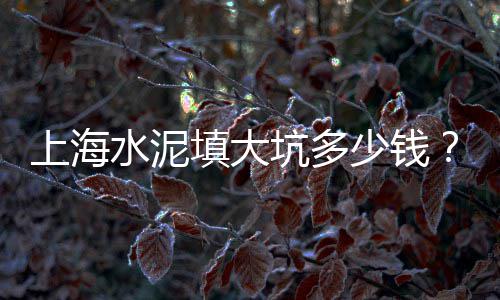 黄沙市场29日停业、黄沙市场竣工时间表格图、黄沙市场档口拿货价格查询、黄沙市场有没有三文鱼