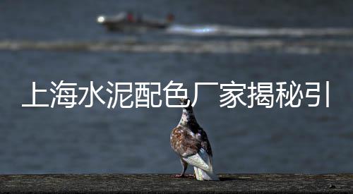 江苏水泥螺旋秤批发厂家、河南水泥喷浆机厂家批发、水泥砖垫托板批发、江干区铝酸盐水泥批发