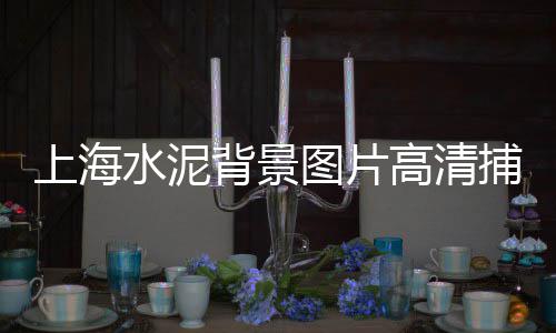 黄沙市场模特招聘信息、黄沙市场多少钱一个平方米的房子、广州黄沙市场三文鱼一整条多少钱、黄沙市场应该在哪一个地铁口出站