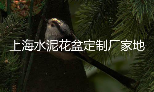 新立镇沙子水泥零售、太原水泥路面修补料零售、aaa水泥沙石砖批发零售、零售水泥砂石利润怎么样