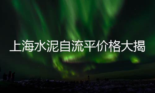 上海石子输送机厂家、上海黑色石子、上海石子专卖、石子豪上海