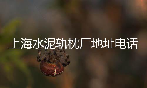 上海水泥檐板价格查询网、上海水泥构件量大从优、上海水泥材料送检规定、上海水泥售价表最新