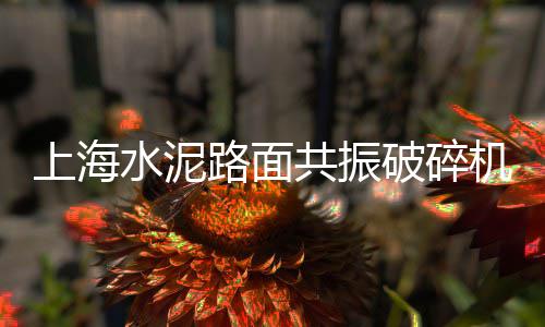 上海石子机、上海安山岩石子价格、上海正规石子仓网上价格、上海常见石子仓网上价格