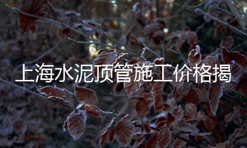鹤壁水泥门头砖价格图片、北京水泥漆墙面价格、郑州纳米微水泥直供价格、水泥过滤池价格表