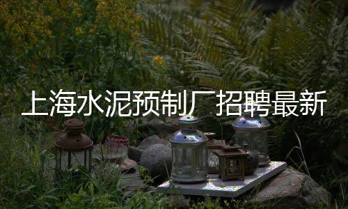 上海搅拌站石子价格、上海石子场铲车工招聘、上海先进石子仓什么价格、上海哪里有石子采购厂