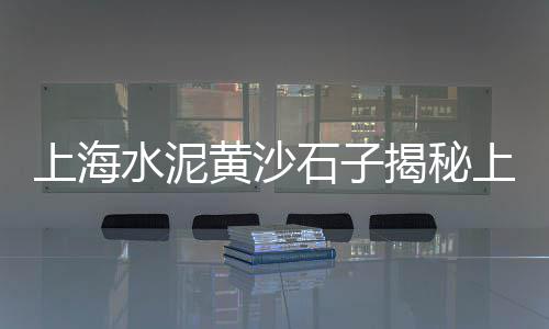 上海水泥厂介绍图片、上海水泥厂工资、上海水泥井管机、上海水泥袋子回收