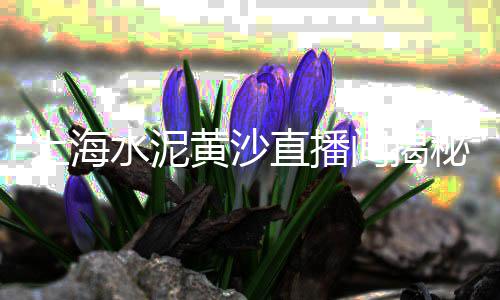上海水泥砂浆报价清单、上海水泥楼板多少钱、上海水泥钉铁钉厂、上海水泥厂宿舍地址