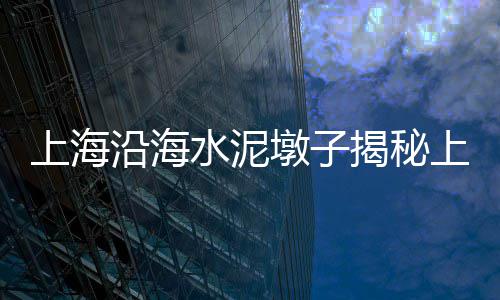 黄沙石子水泥批发、吕梁灰石子批发厂家地址、阳泉白石子批发厂家地址、青岛小石子批发电话