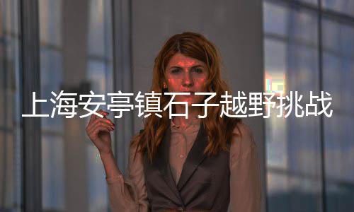上海水泥库供货厂家、上海水泥毯厂家推荐、上海水泥封的楼、上海水泥护栏订做厂家