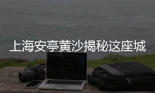 水泥车碾菜市场民众、双流建材市场水泥砖、水泥的市场价哪里定、河南水泥盆批发市场