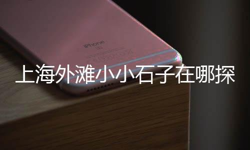 哈尔滨滨西石子价格、邹城拍卖石子价格、灰黑色石子价格、肇庆石子最新价格