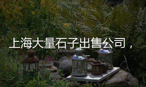 威海白色石子批发、张沃沙子石子批发、吉林花岗岩石子批发、济宁灰石子批发厂家