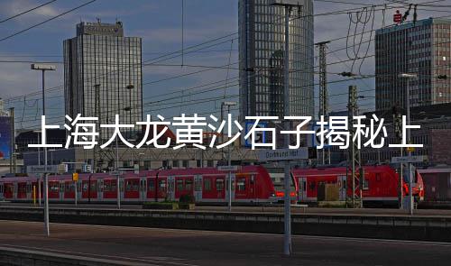上海水泥板加工、上海水泥售价多少一吨、上海水泥抗裂剂推荐厂家、上海水泥砖镂空店铺价格
