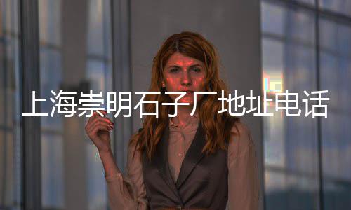 雄县白太石子批发、昆明黄砂石子水泥批发、安溪石子批发青石厂家、石子砂传送带批发