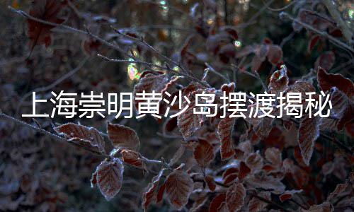 上海黄沙石子采购价格、上海石子砂石码头价格、上海嘉定红砖石子、上海石子采石厂