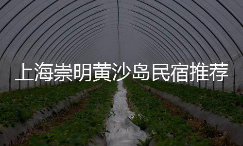上海水泥艺术地坪漆、上海水泥插口涵管厂家电话、上海水泥砖用途分类表、上海水泥砖厂名录