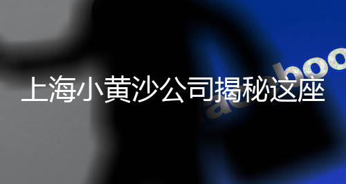 永康建筑青石子厂家批发、兴平石子批发电话、龙口市石子批发、临沂灰石子批发厂家