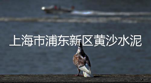 山东小黄沙最新价格走势、黄沙坝酒店剪彩价格查询、黄沙市场今日螃蟹价格、洛阳黄沙烘干机价格