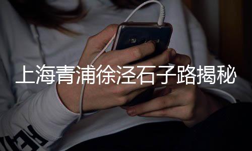 泰安白色石子批发在哪里、仿石彩石子批发厂家、宝鸡哪里有批发石子馍、杨村石子批发零售