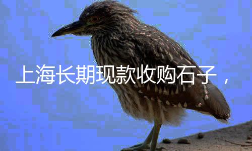 上海水泥预制护栏、上海水泥步道砖厂家、上海水泥墩现货批发、上海水泥毛坯墙改造