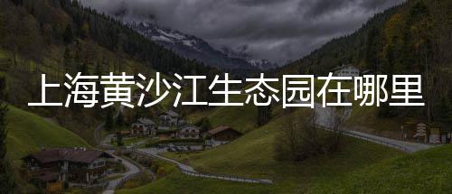 水泥砖厂市场评估、周口水泥百米桩批发市场、三明水泥地坪市场价格表、九江硅酸盐水泥批发市场