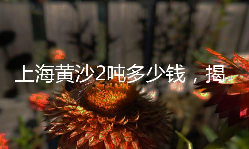 长沙哪里有小石子批发、绿色石子批发厂家、哪里有批发石子、莘县石子厂家批发