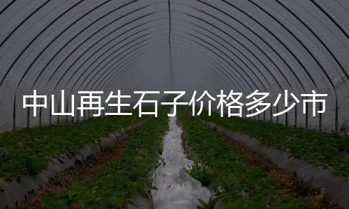 辛口镇石子零售电话号码、苗庄石子批发零售、北闸口石子批发零售、天津批发零售石子电话