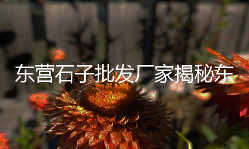 建德袋装水泥批发市场、上饶水泥市场价、水泥彩砖机市场、西南水泥市场调研