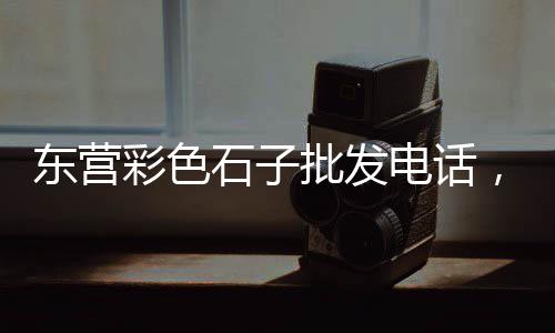 上海老港再生石子、上海石子从哪边拉的货车、上海码头白石子联系电话、上海泥城再生石子加工厂