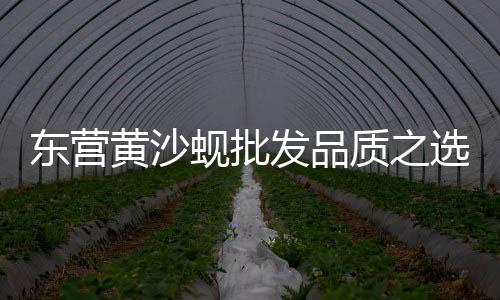 水泥 细分市场、成武沙子水泥市场地址、现在水泥的市场前景、昆明市场白水泥