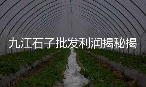 上海祝桥石子厂招聘、上海建材石子品质哪家好、上海江桥再生石子厂、上海公园石子路图