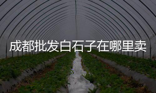 山东水泥配件批发市场、长春市水泥市场、尉氏水泥建材市场、葛洲坝水泥市场营销