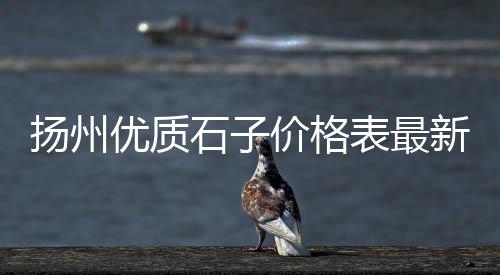 吸水石子厂家批发电话、锦界石子批发市场、北京批发黑石子在哪里、白银市石子批发厂家地址