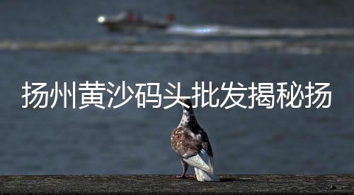 上海供应黄沙袋、上海蛋黄沙拉、上海石子黄沙专卖、上海品牌黄沙公司