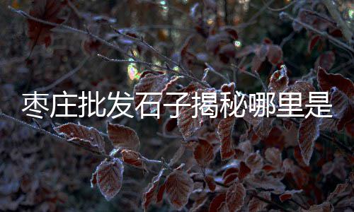 邯郸零售沙子水泥店在哪、蓬朗镇零售水泥黄沙价格、批发零售中沙水泥多少钱、武清区沙子水泥批发零售