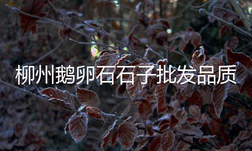近期市场石子价格走势图、青光镇石子市场、石子市场在哪里、邯郸石子沙子市场
