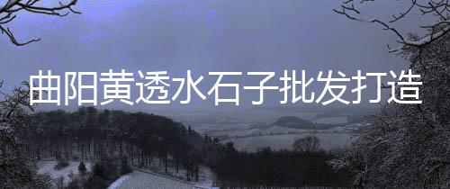 黄沙市场大明虾价格多少、黄沙市场是哪个社区的、广州黄沙市场外卖小哥、黄沙市场海鲜价格好贵吗