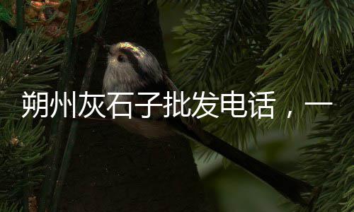 北方水泥市场萎缩、湖南水泥市场分析、次品水泥 流入市场、水泥车怎么进市场