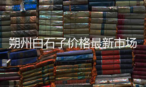 上海小区门牌石子、上海石子崩掉漆怎么处理、上海沙石子码头有哪些、上海石子移动破碎站排行