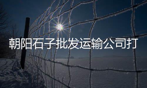 周口石子零售、临淄敬仲石子零售、深圳石子零售电话号码、济南石子零售店地址