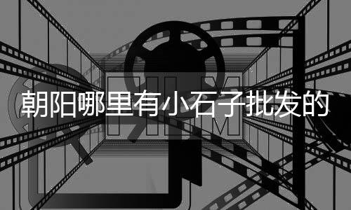 上海黑石子碎石厂家电话、上海石子价格行情、上海再生石子回收电话、上海石子到港价