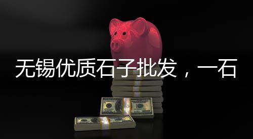 上海青石子销售、上海到福建的拉石子船、上海自留地村里倒石子、上海华漕镇再生石子厂