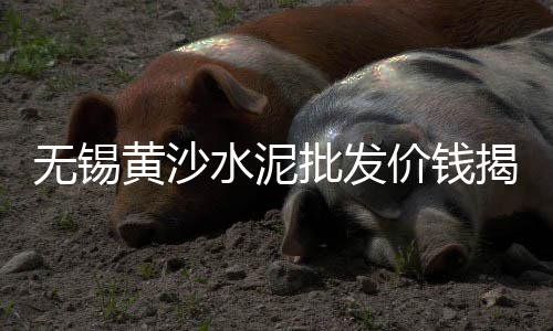 3米直径水泥管价格、水泥电杆底盘价格、水泥艺术漆价格、诸城沙子水泥价格