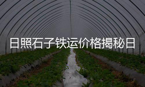 杭州石子斗挖机市场、镇江小石子批发市场在哪里、湛江石子建材批发市场地址、莱芜茶叶石子批发市场地址