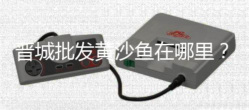 吴江区知名石子价格表、河南石子骨料价格查询、黄沙石子行情价格、裕源建材石子价格