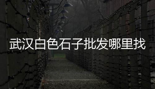 崇左水泥地板价格、水泥沙熊价格查询、江苏水泥厂拆除价格、贵州水泥板价格多少