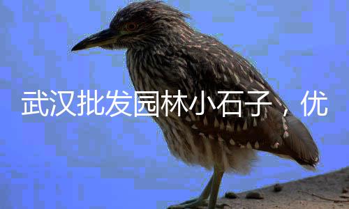 红安黄沙批发市场电话、启东粗黄沙批发、宁德水泥黄沙批发、黄沙批发公司招聘
